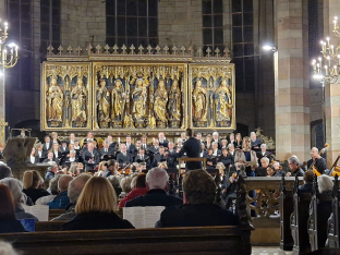Klick zum Vergrößern domchor-st-marienfoto-i